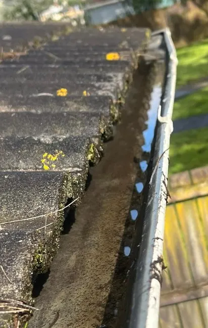 Gutter cleaning Auckland — after