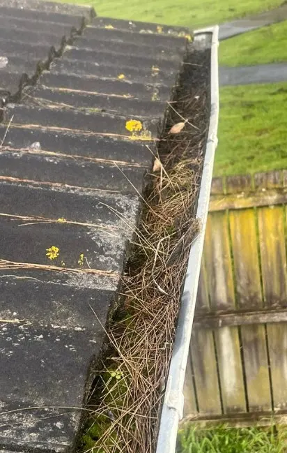 Gutter cleaning Auckland — before