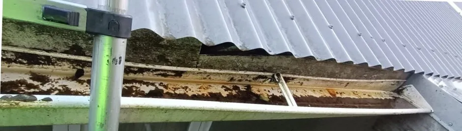 Gutter & Spouting Replacement — before