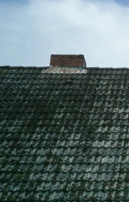 Roof Painting Transformation — before