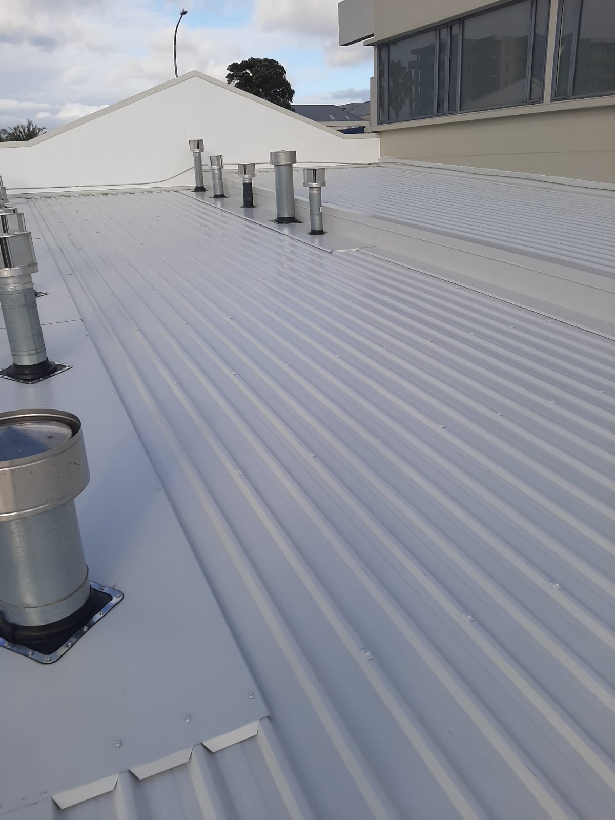 Professional Colorsteel roof replacement Auckland