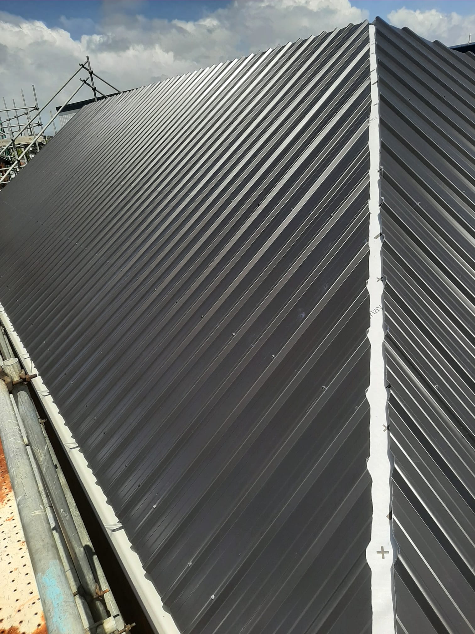 Steep-pitch dark Coloursteel longrun roof with ridge flashing detail â€” Auckland