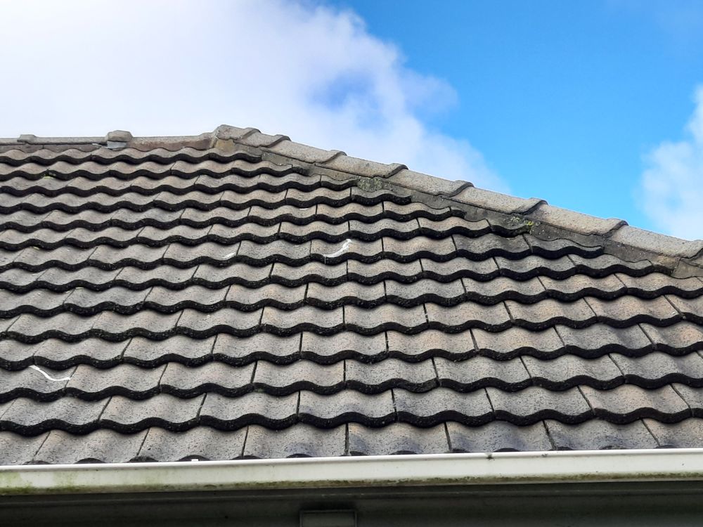 Metal tile roofing Auckland