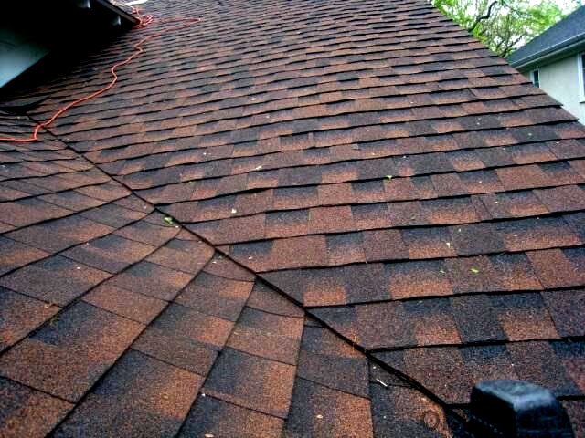 Auckland architectural asphalt shingle roof installation