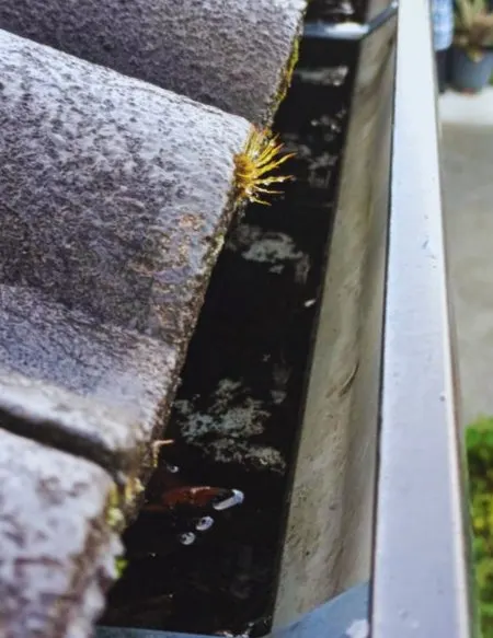 Gutter & Spouting in Auckland — before