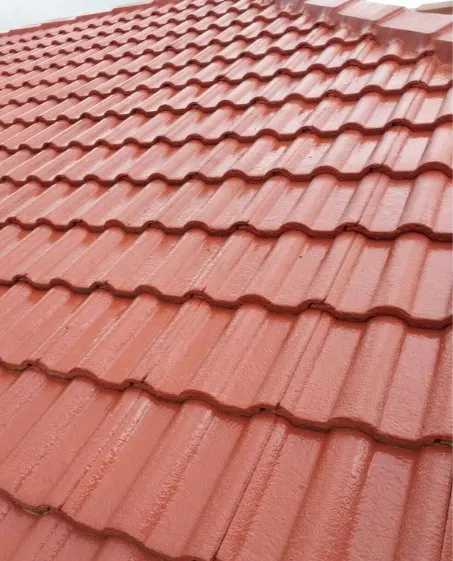 Roof Painting in Auckland — after