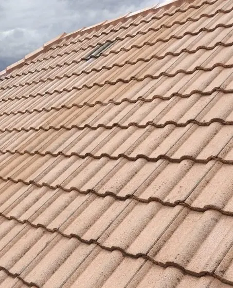 Roof Painting in Auckland — before