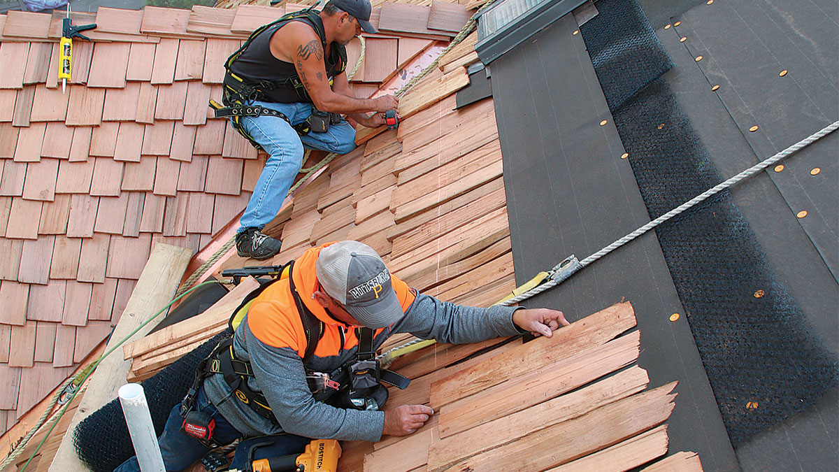 Cedar shingle wind resistance Auckland