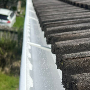 Fascia and guttering replacement