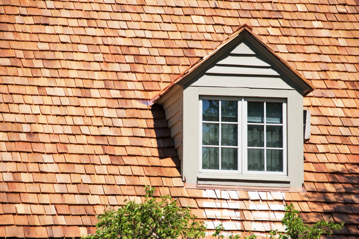 What are timber shingles Auckland