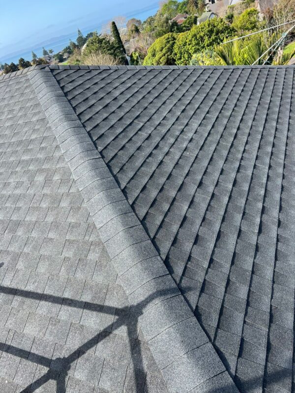Premium Residential Asphalt Shingles Roof Replacement - Reliable and Durable