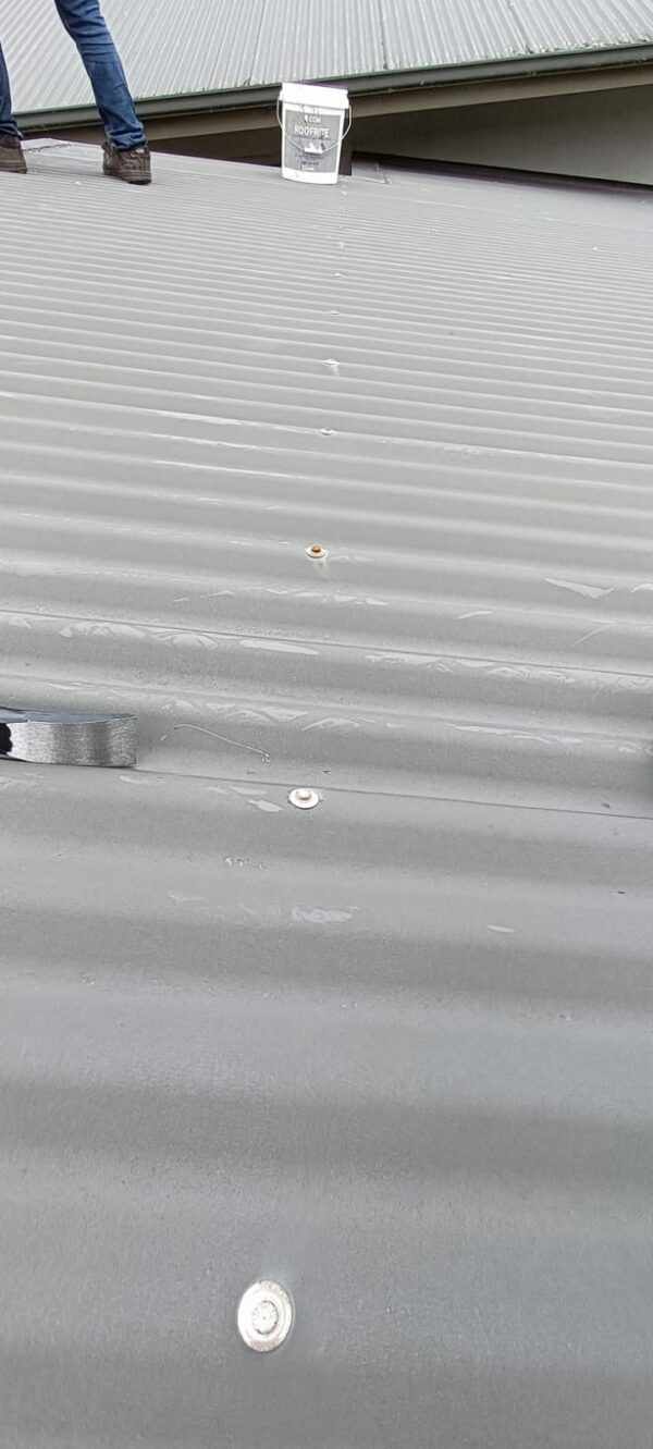 Immediate Roof Leak Repair - Quick Sealant Solution - Image 3