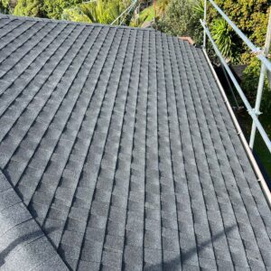 Asphalt Shingle